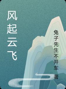 风起云飞扬书籍
