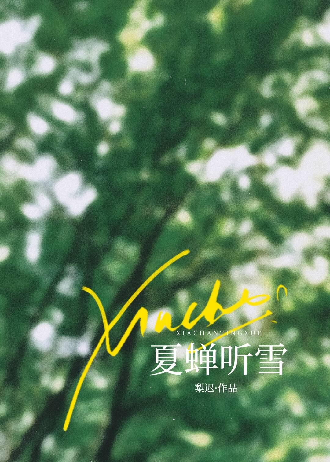 夏蝉听雪有番外篇吗