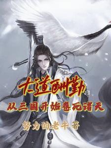 大道酬勤从三国开始卷死诸天从哪里