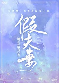 假夫妻贷款各承担什么后果