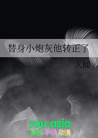 替身小炮灰他转正了txt免费阅读网站