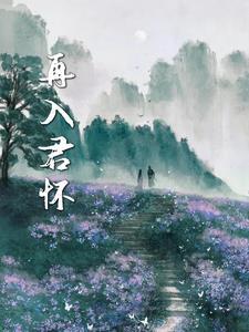再入君怀txt提取码