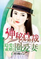 隐婚密爱总裁欺人太深