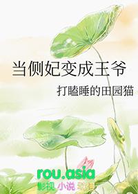 当侧妃变成王爷女主换回来了吗