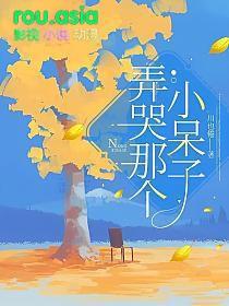 弄哭那个呆子免费阅读