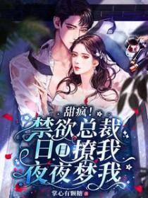 晚上好全文阅读