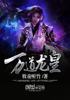陆鸣的 目录
