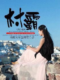 村霸恶势力认定标准