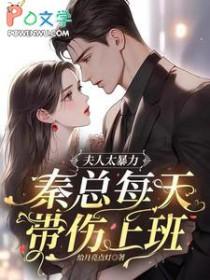 秦夫人 100章