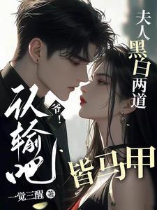 认输吧!夫人黑白两道皆马甲免费阅读