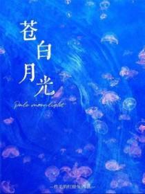 苍白了岁月