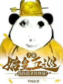 我伪造圣旨登基!(嬴浩)