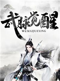 武脉传奇