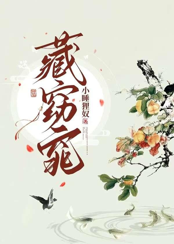 藏窈窕讲的是什么