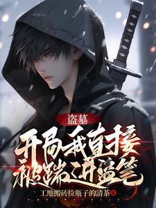 盗墓开局我直接被踹进盗笔完整阅读