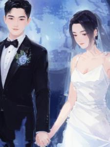 总裁的独宠全文免费