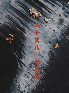 二十又八还是二十有八