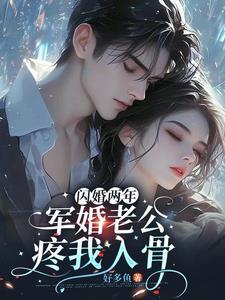 闪婚嫁给军人