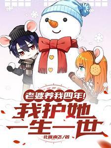 老婆养家