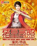 猪星高照是什么生肖