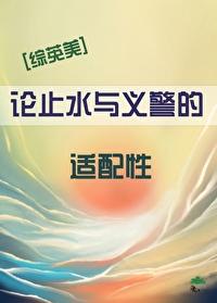 止水全名叫什么