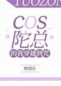 cp是陀总