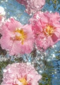 涉江采芙蓉背景介绍