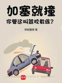 你管这叫驾校教练?免费阅读