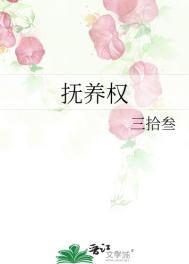 抚养权是什么概念