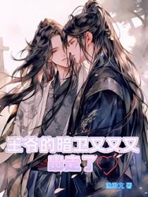 王爷宠暗卫的文