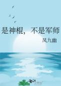 是神棍不是军师by凤九幽晋江