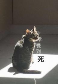 泰剧我的奇迹爱到死