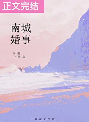 南城婚事在线阅读