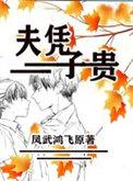 夫凭子贵By暗恋讲的什么