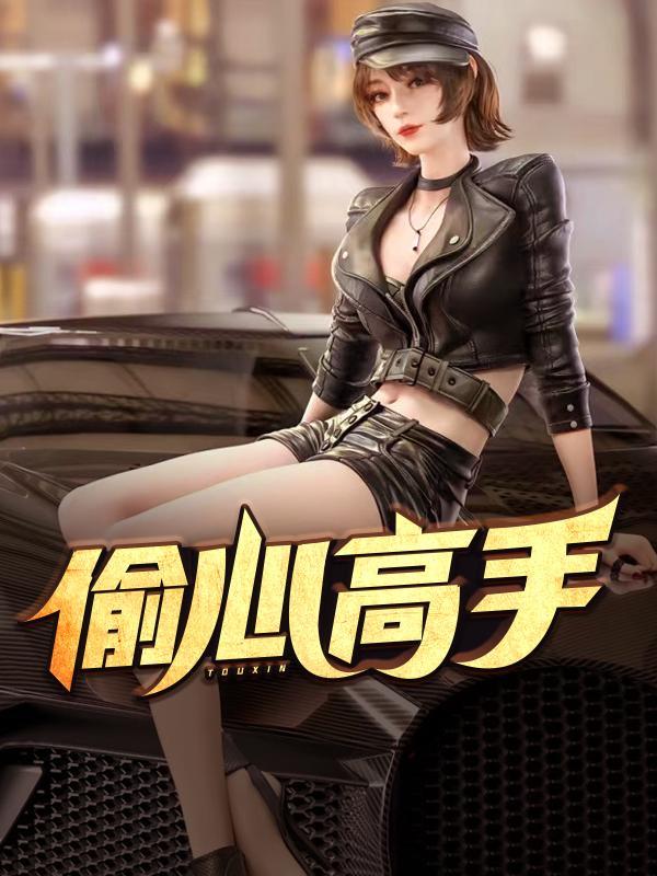 偷心高手加料版