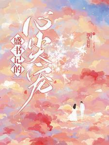 盛书记的心尖宠txt百度