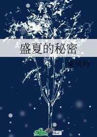 盛夏的秘密约定陆时琛念念