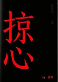 掠心周鸿琛全文