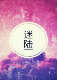 迷陆的人