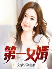 第一女婿TXT