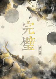 完璧在线阅读