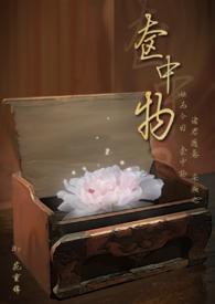奁意思是什么