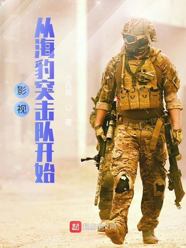 类似影视从海豹突击队开始