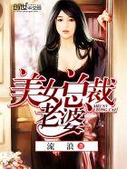 美女总裁老婆杨辰说懒人听书