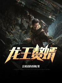 龙王婿叶罡天