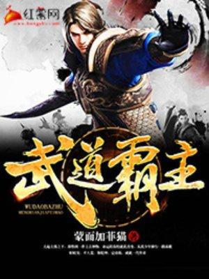 武道霸主王腾境界等级
