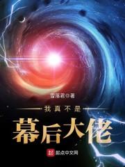 陈风柳婉李佳佳书名
