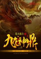 九龙神鼎怎么不写了