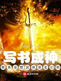 我写书成神