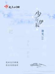 风狂的农民工1998